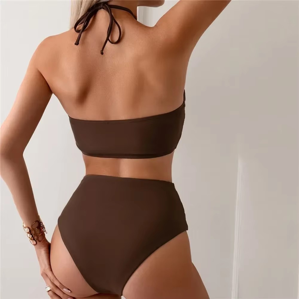 Dark Brown Solid Swimwears Hal - đánh giá và giá Swimsuit Bikini Ruched